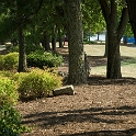 Scenery Montville Duchek 3902